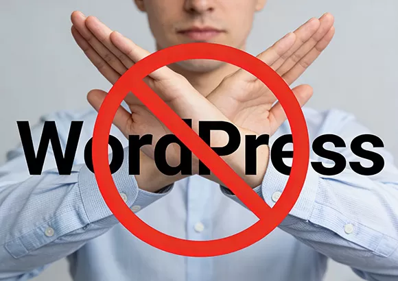 新手入局独立站，为什么我劝你远离WordPress？